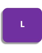 Lanier L