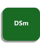 DSm