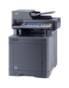 355ci
