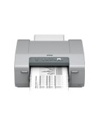 ColorWorks GP-M831
