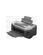 Stylus Photo R300