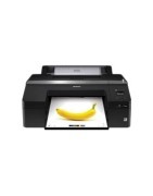 Epson SureColor SC-P5000 STD - Consumabili
