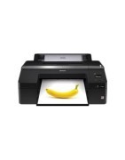 Epson SureColor SC-P5000 Violet - Consumabili