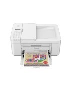 Canon PIXMA TR4551 - Consumabili
