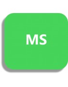 MS