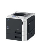 Konica Minolta bizhub C3100P - Consumabili