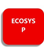 Ecosys P
