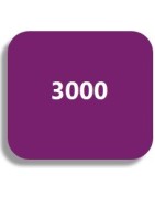 3000
