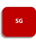 Ricoh SG